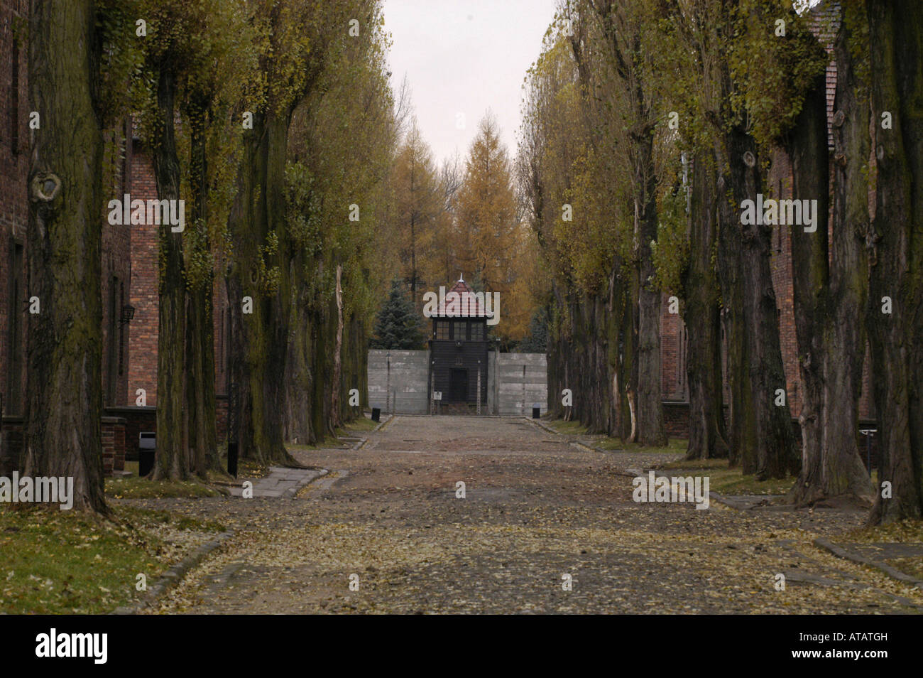 Vicolo del Auschwitz-Birkenau ex-nazista tedesco Campo di Concentramento Foto Stock