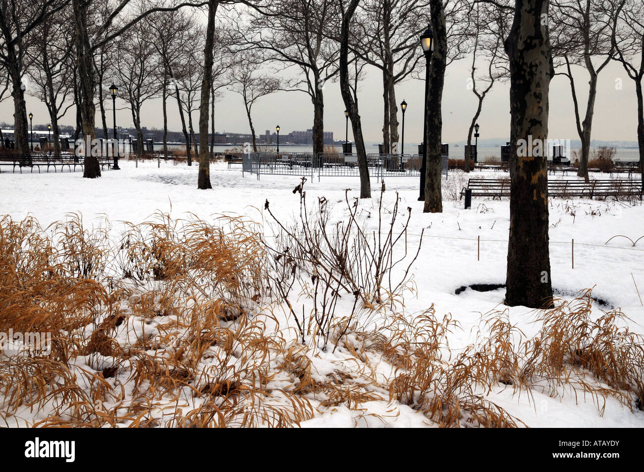 Paesaggio olandese architetto Piet Oudolf piantato Battery Park all'estremità meridionale di Manhattan con erbe marine. Foto Stock