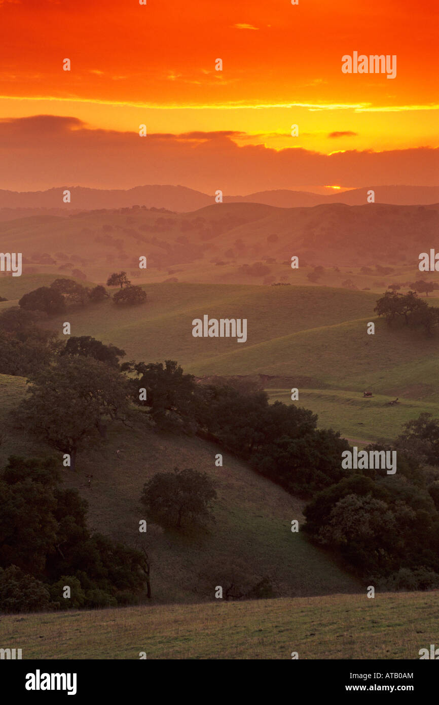 Tramonto sulle colline vicino a Los Olivos Santa Barbara County in California Foto Stock