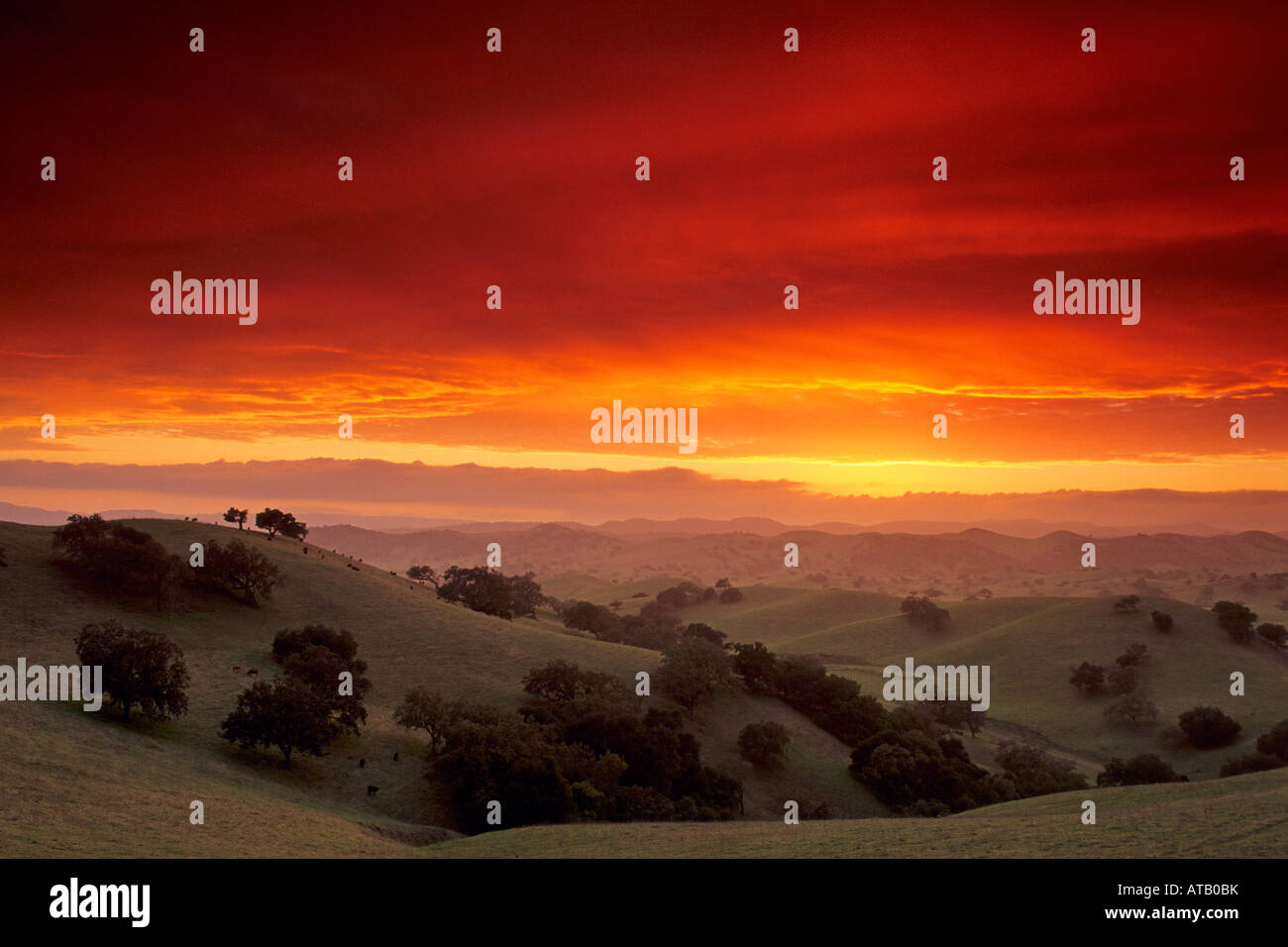 Tramonto sulle colline vicino a Los Olivos Santa Barbara County in California Foto Stock