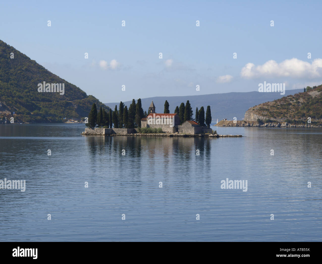 La figura commestibili, comune fig (Ficus carica), Baia di Kotor, piccola isola con la chiesa, figura in primo piano, la Serbia e Montenegro Foto Stock