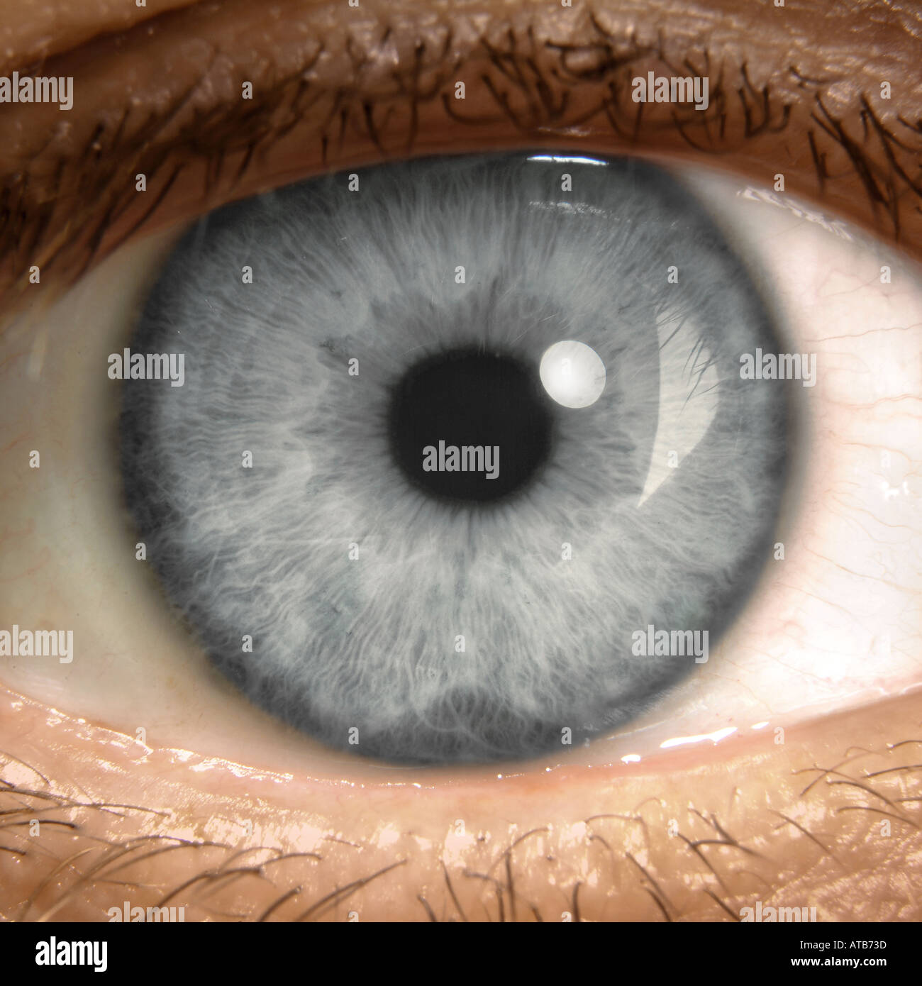 Close up eines menschlichen Auges Foto Stock