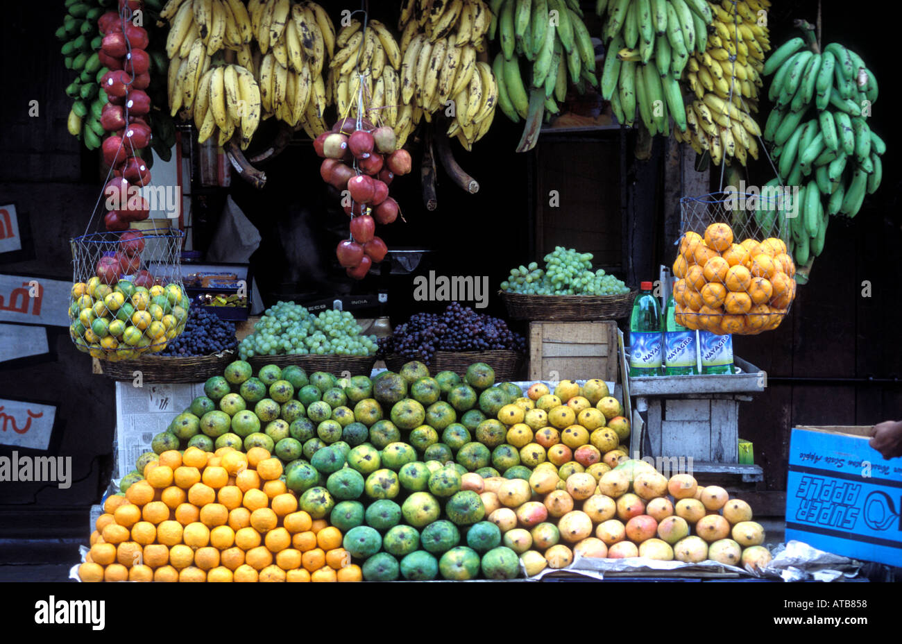 India Kerala frutta Allepy di stallo Foto Stock