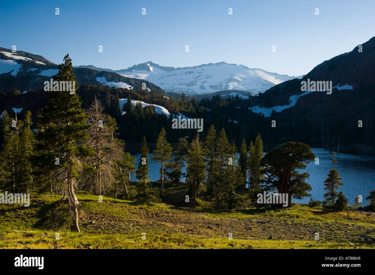 Montare Agassiz nella gamma di cristallo sopra il lago di Suzie desolazione deserto El Dorado National Forest in California Foto Stock