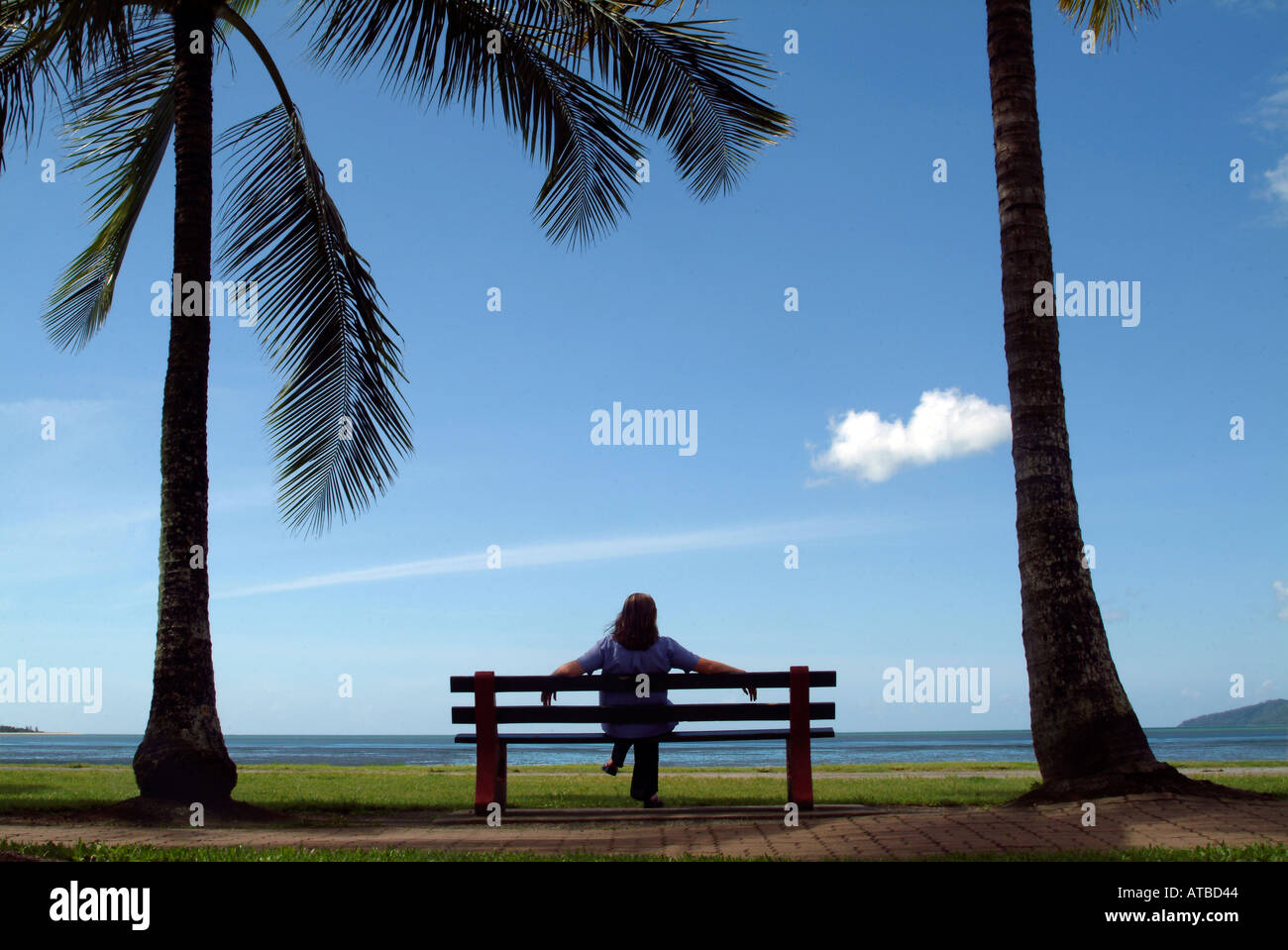 Cairns Australia Queensland una donna seduta sotto le palme, foto da Bruce Miller 5 04 Foto Stock