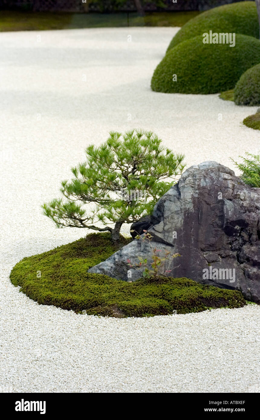 Particolare del Giardino di Moss al Adachi Museo di Arte in Giappone Foto Stock