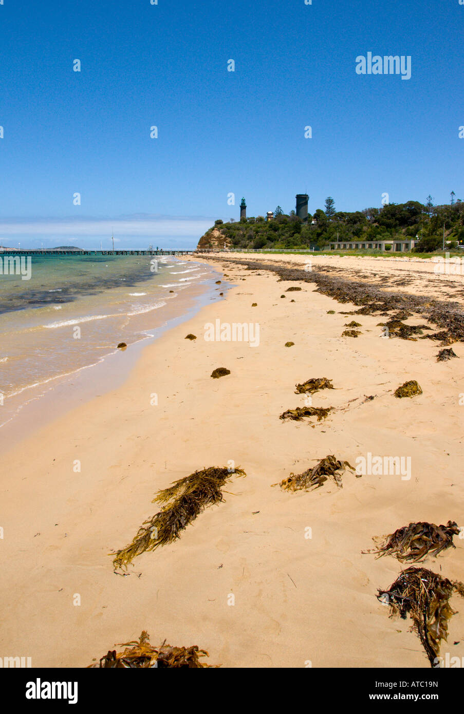 Queenscliff Light house e la spiaggia. Foto Stock