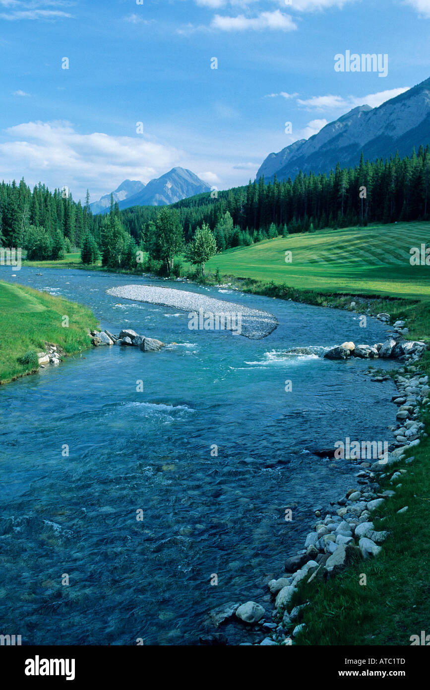 Le chiare acque del Fiume Bow che scorre tra le banche erbosa con le montagne che si elevano fino al di sopra del cerotto di foresta in background Foto Stock