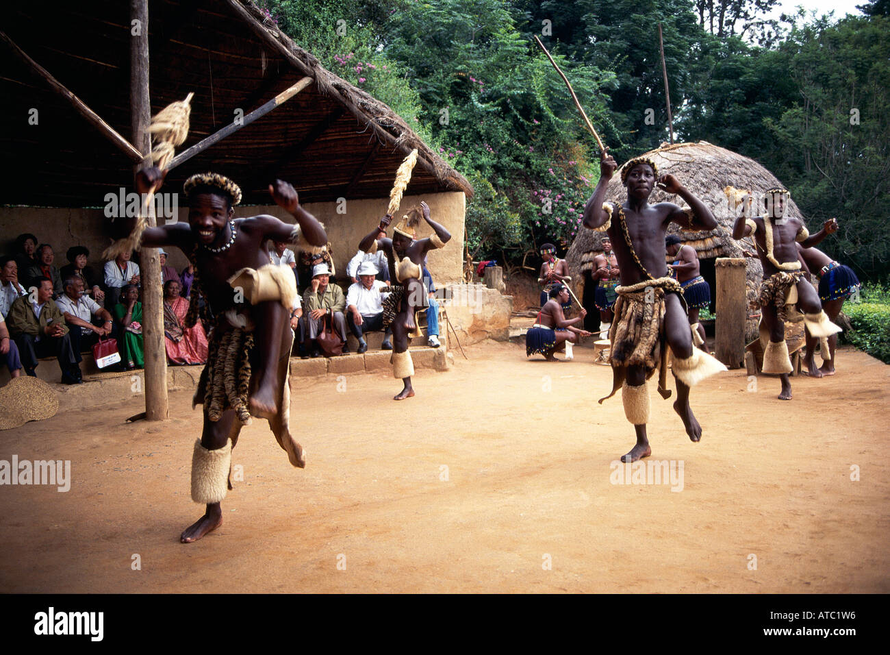 Un certo numero di Zulu tribesmen vestito con la tradizionale pelli di animali e loro weilding assegais eseguendo un rituale di danza di guerra mentre guardati da una folla di donne e i visitatori in un villaggio Zulu Foto Stock