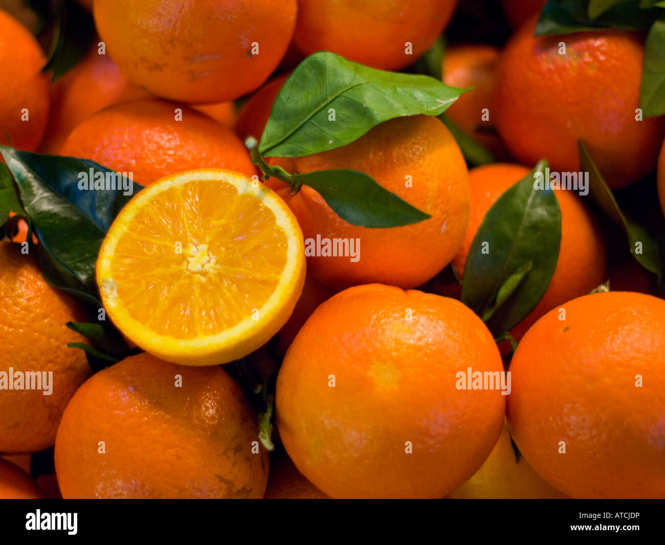 Valencia arance. Foto Stock