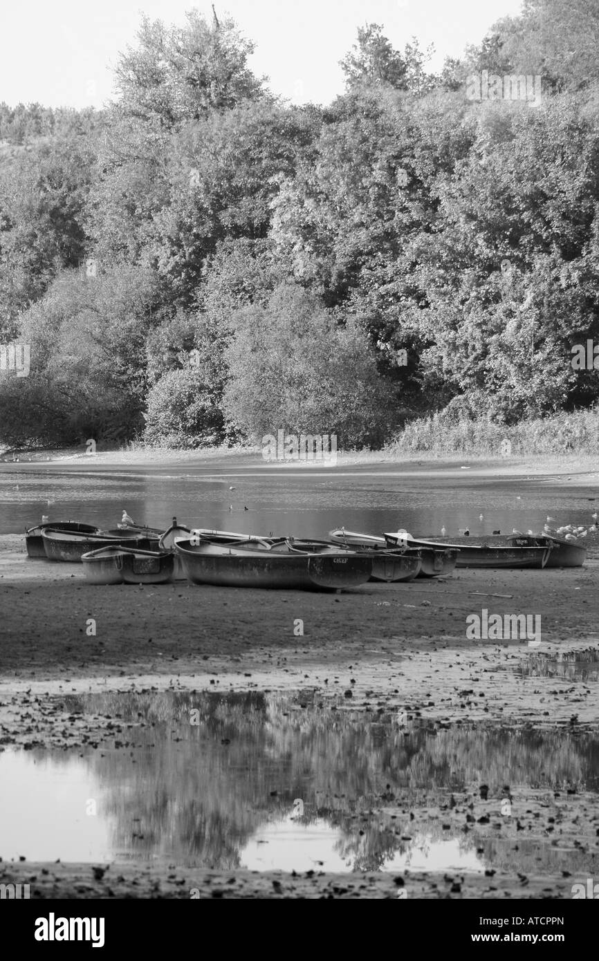 Barche sul lago Swanbourne in Arundel, Inghilterra Foto Stock