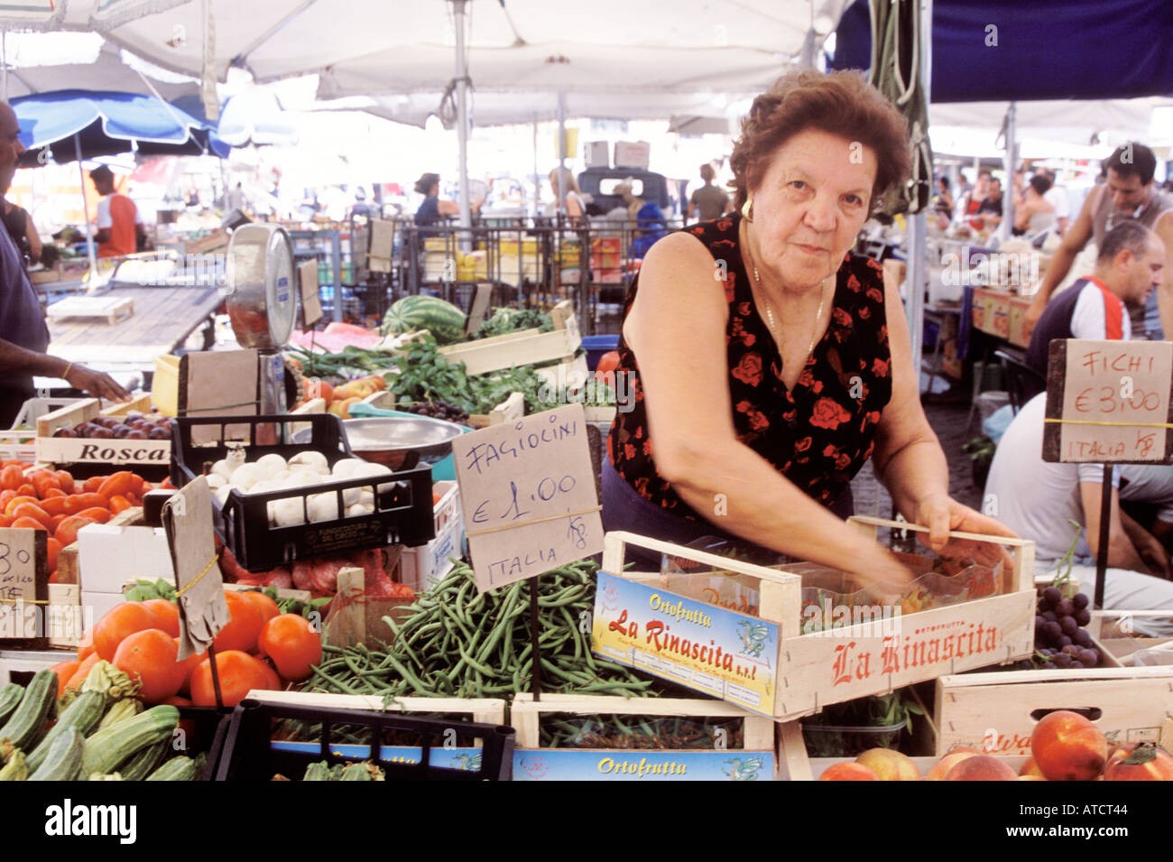Un stallholder disponendo i suoi ortaggi in Campo de' Fiori market Foto Stock