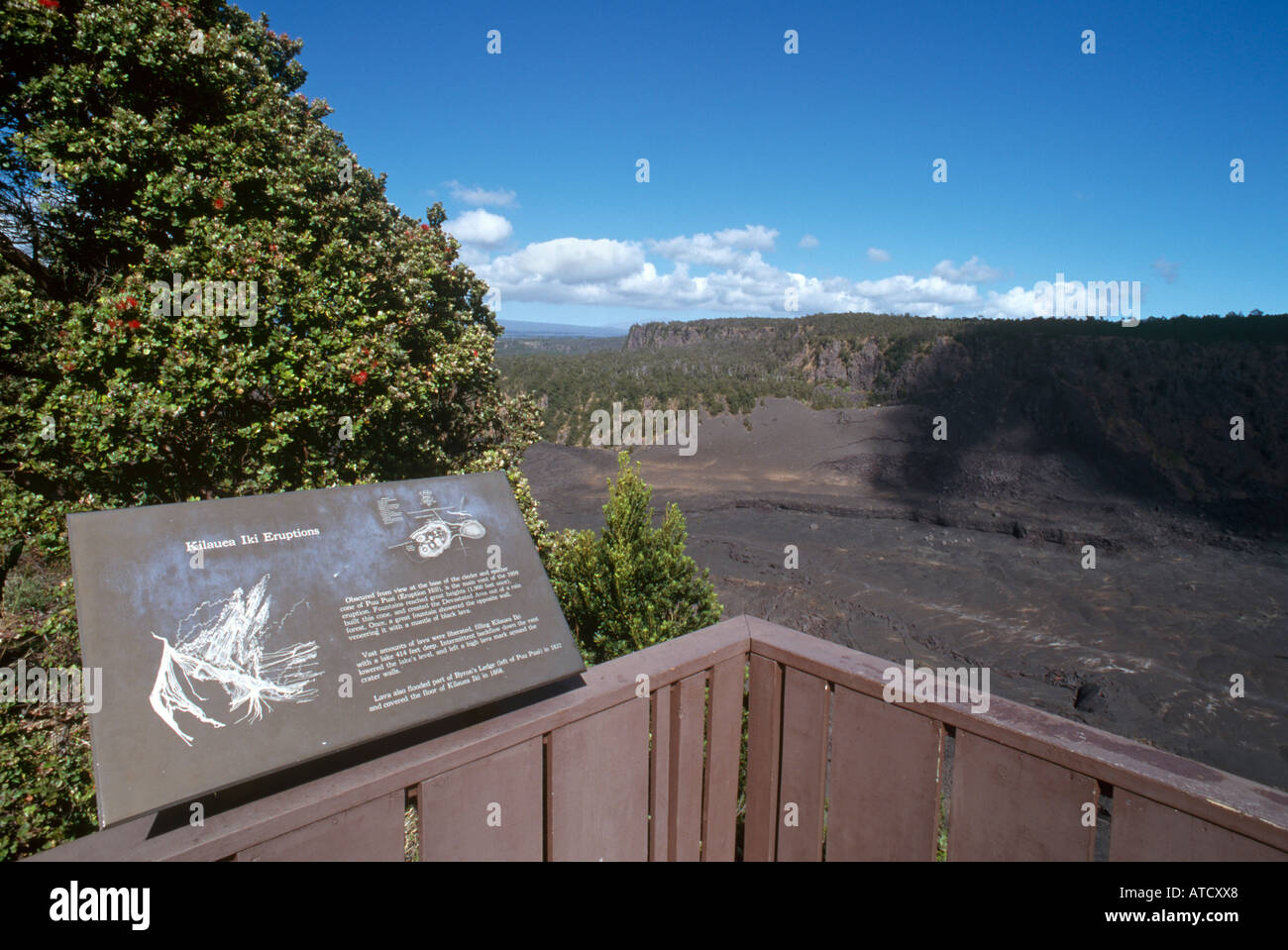 Il Kilauea Iki cratere, Parco Nazionale Vulcani, Big Island, Hawaii, STATI UNITI D'AMERICA Foto Stock