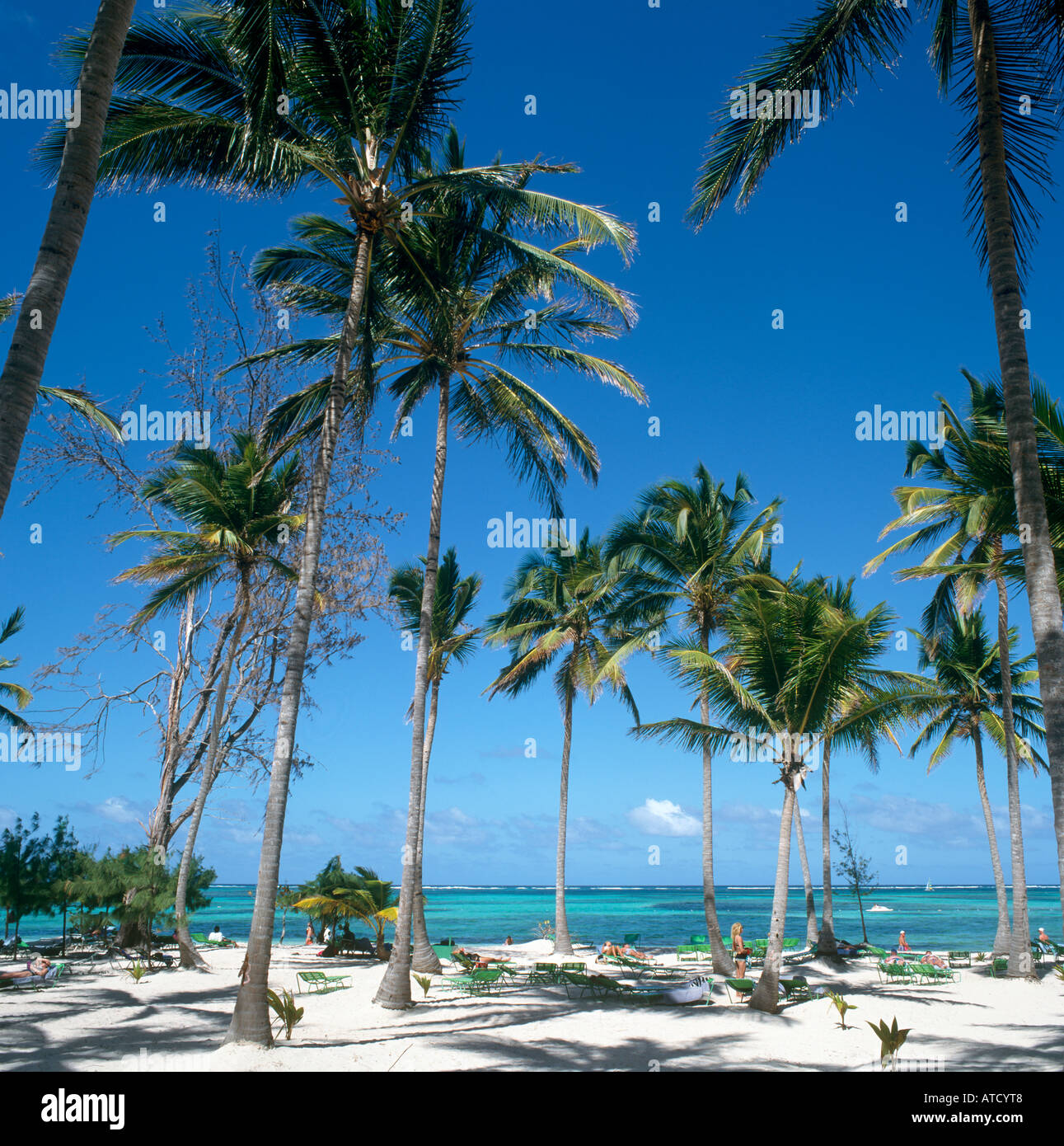Bavaro Beach, Punta Cana, Repubblica Dominicana, dei Caraibi Foto Stock