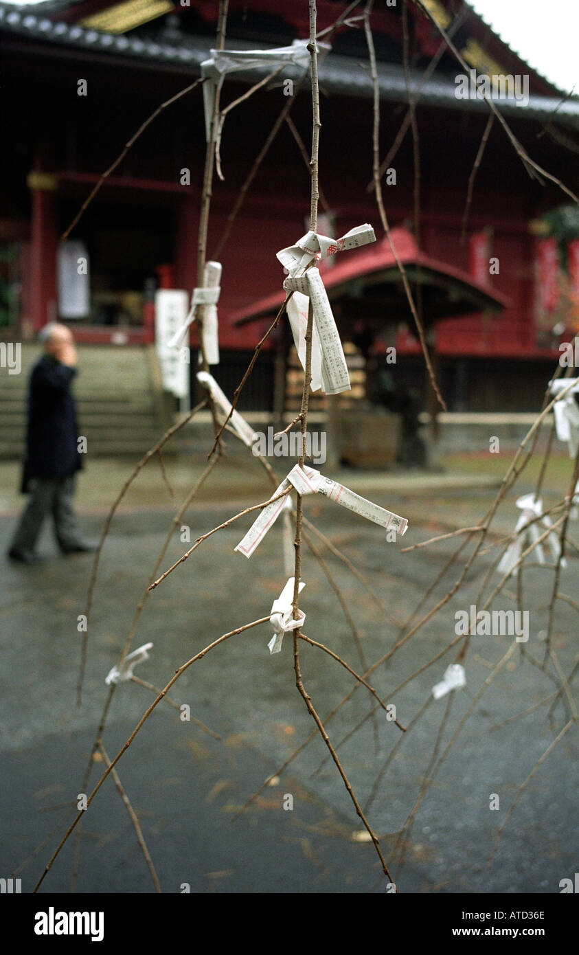 Preghiere scritto su carte a sinistra dalle donne che desiderano concepire pendono dai rami di un albero di fronte a il Kiyomizu Kannon Foto Stock