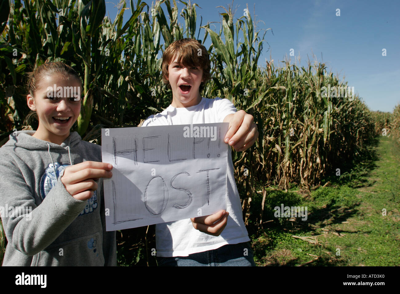 Indiana Lowell,Buckley Homestead,labirinto di mais,teen teenager teenager ragazzo ragazzi ragazza maschio,ragazze femmina bambini segno,aiuto perso,puzzle,IN0610070 Foto Stock