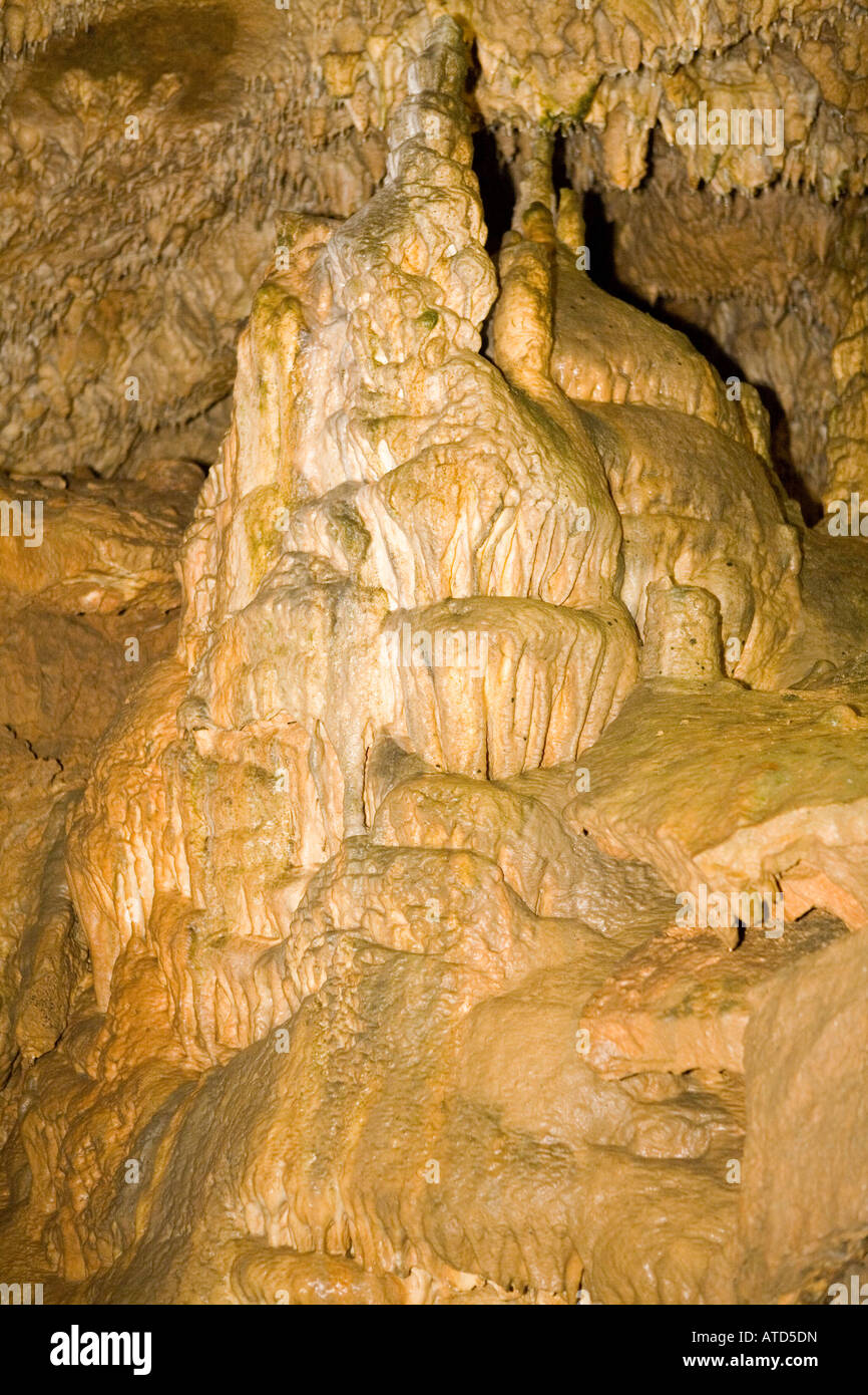 Dripstone grotta con lo scheletro di orso Foto Stock
