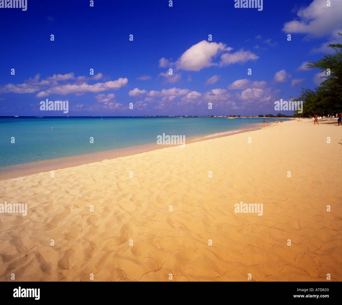 Seven Mile Beach sull'isola di Grand Cayman Isole dei Caraibi Foto Stock