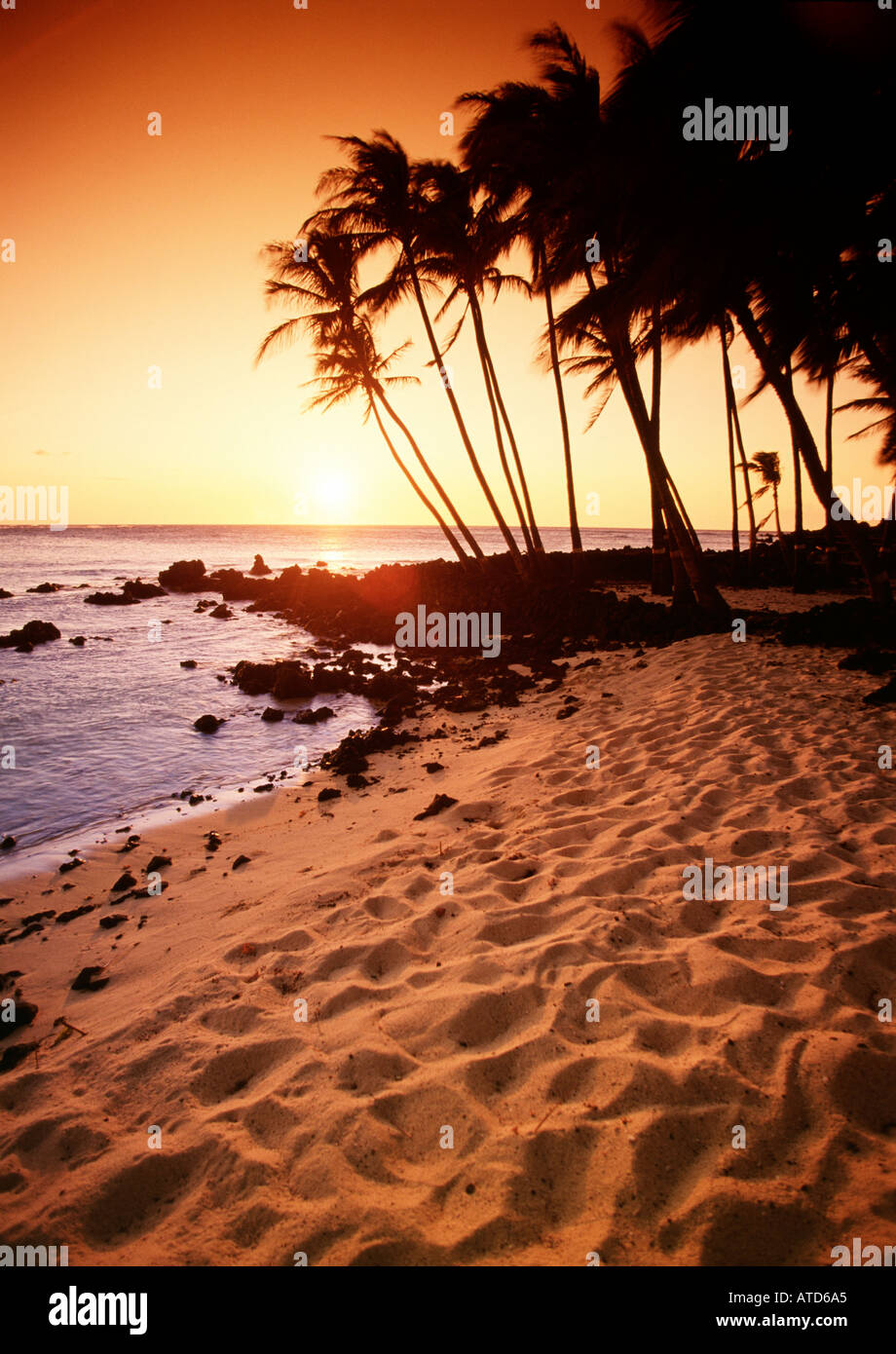 Un boschetto di palme stagliano al tramonto su Mahai'ula spiaggia costa di Kona sulla Big Island delle Hawaii Foto Stock