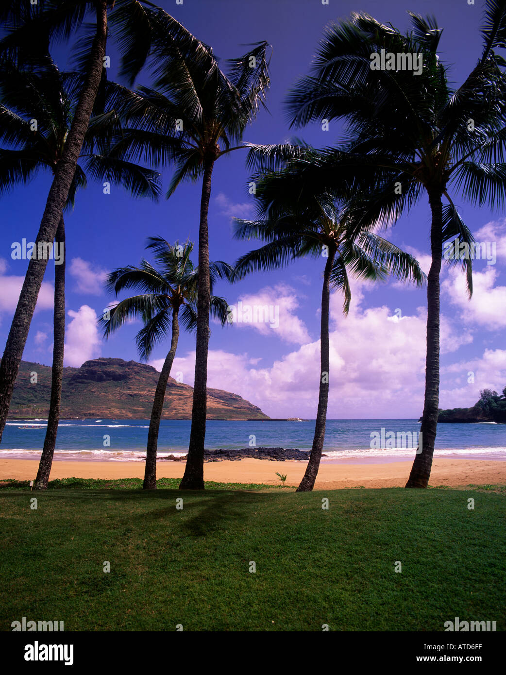 Palme sulla spiaggia di Kalapaki Kauai Hawaii Foto Stock