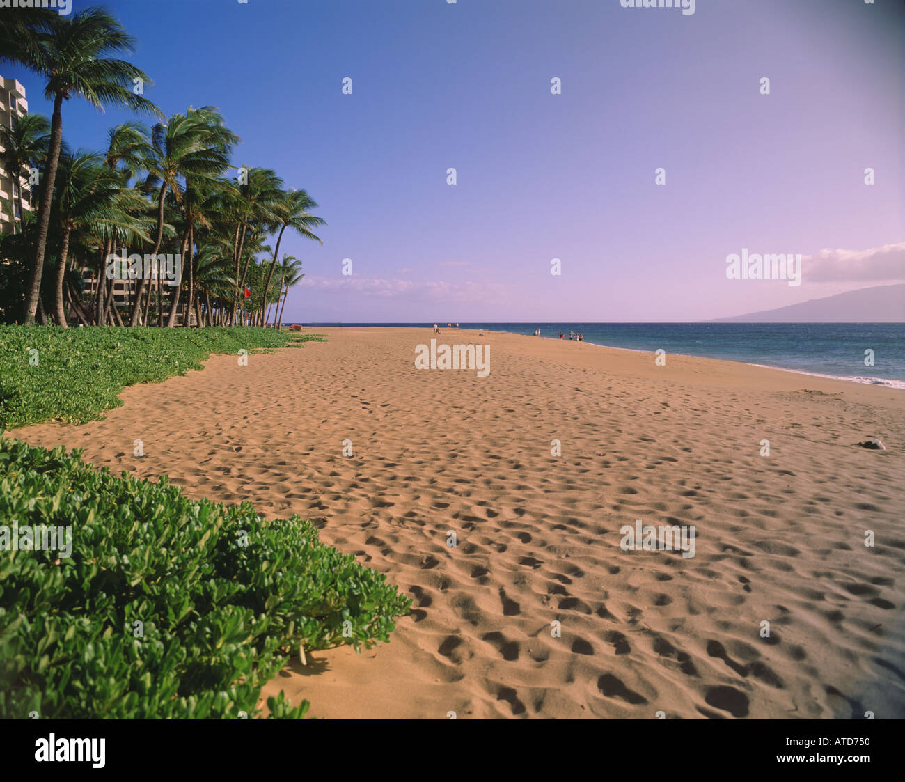 La sabbia immacolata e una lussureggiante vegetazione di Kaanapali Beach Maui Hawaii Foto Stock