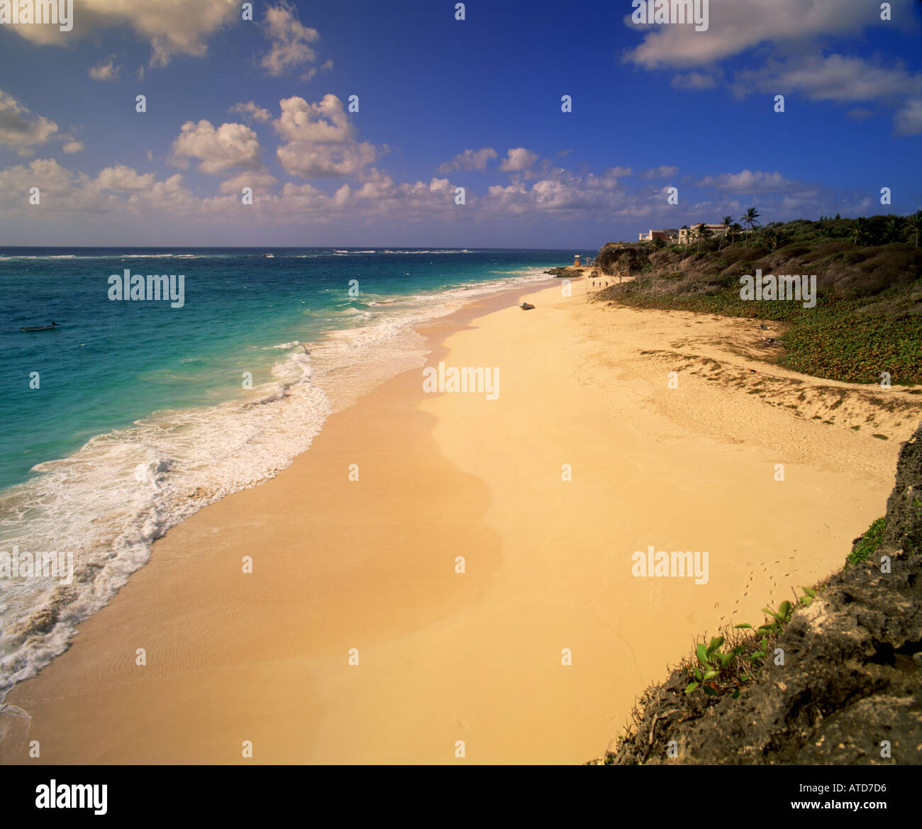 Spiaggia di gru Barbados Foto Stock