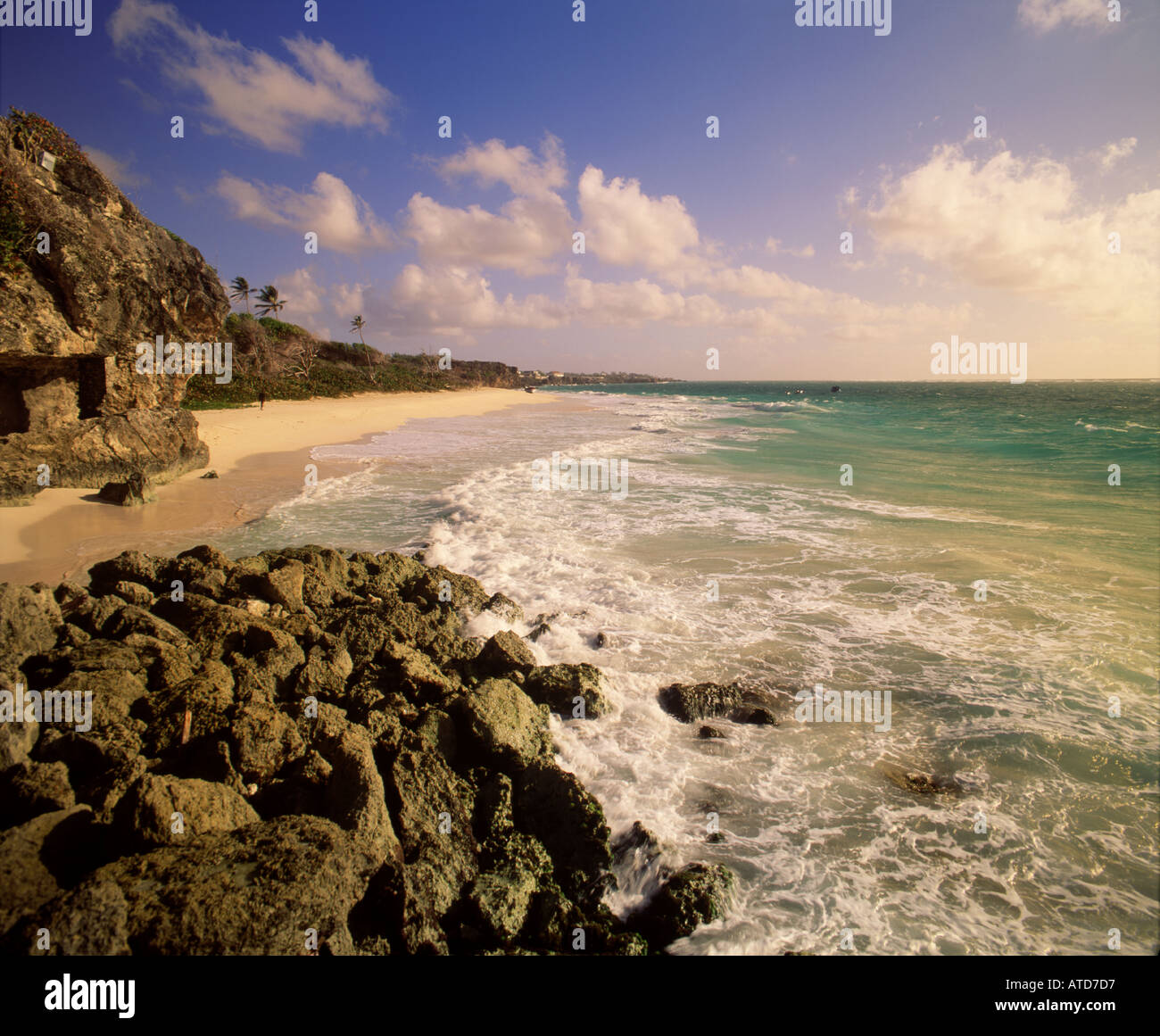 Spiaggia rocciosa di gru Beach Barbados Foto Stock
