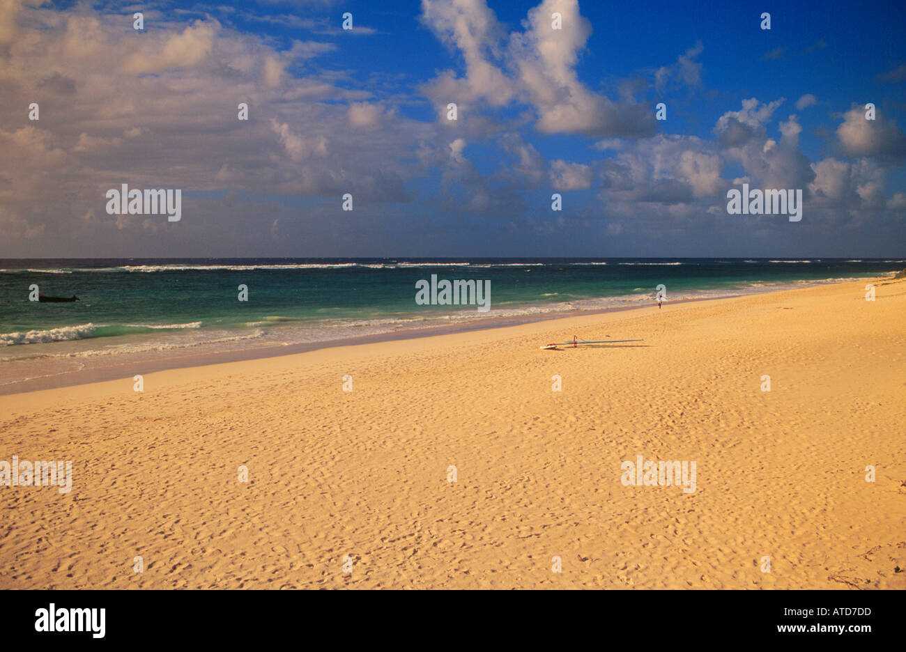 Femminile di Beach Barbados Foto Stock