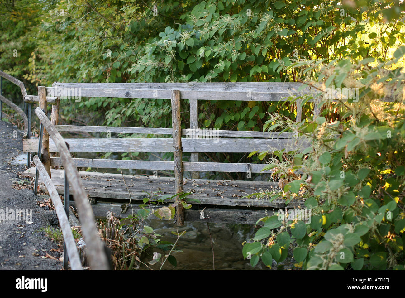 Il vecchio ponte di legno su un ruscello Foto Stock