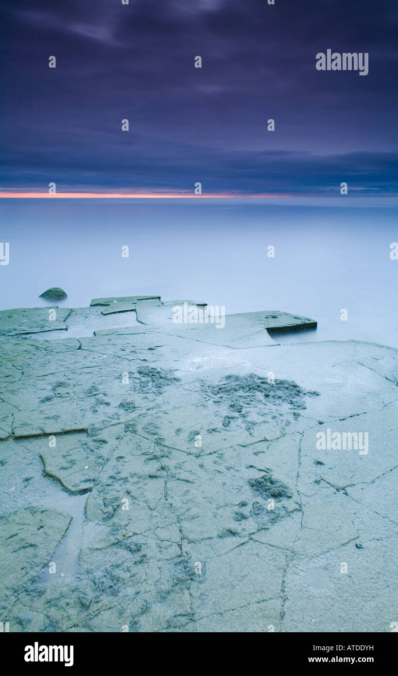 Rocce esposte coperte di cianobatteri (alghe blu-verde) sul Lago Ontario, Oakville, Ontario, Canada. Foto Stock