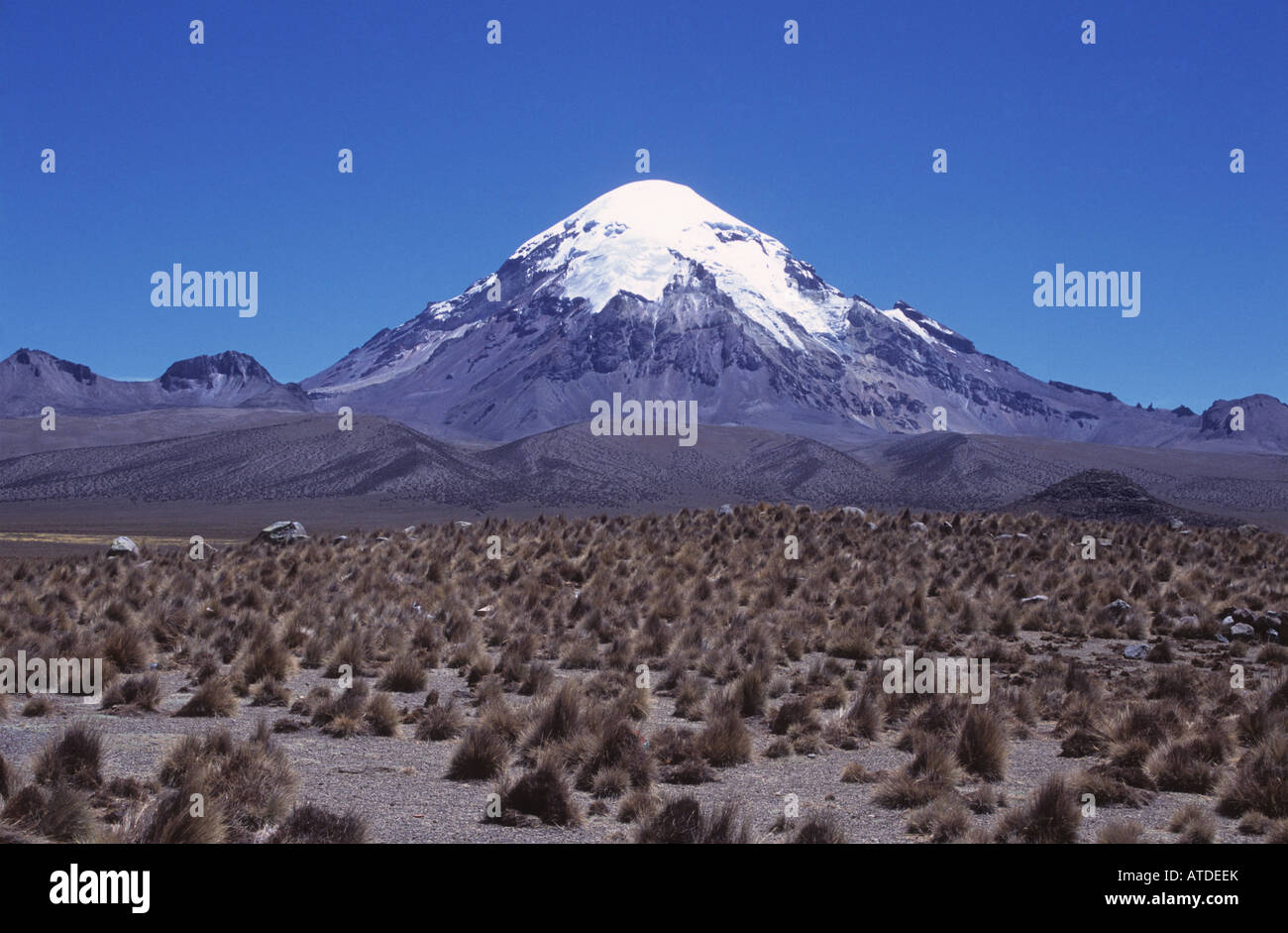 Vulcano Sajama e erba ichu (Jarava ichu) pianure, Sajama Parco Nazionale, Bolivia Foto Stock