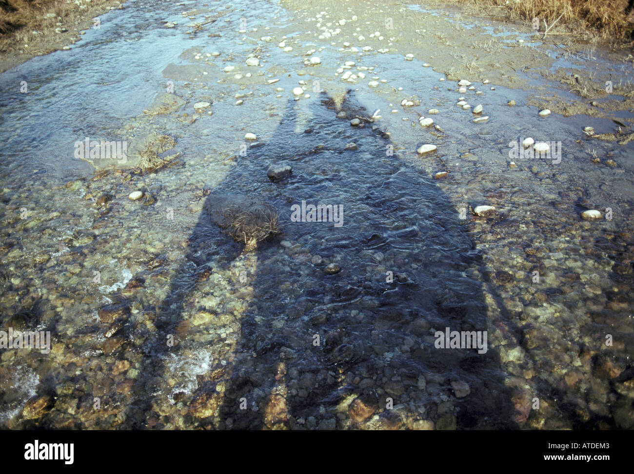 Ombra di un elefante ride con persone ad attraversare un fiume, parco di cittadino di Corbett, Uttar Pradesh, India Foto Stock