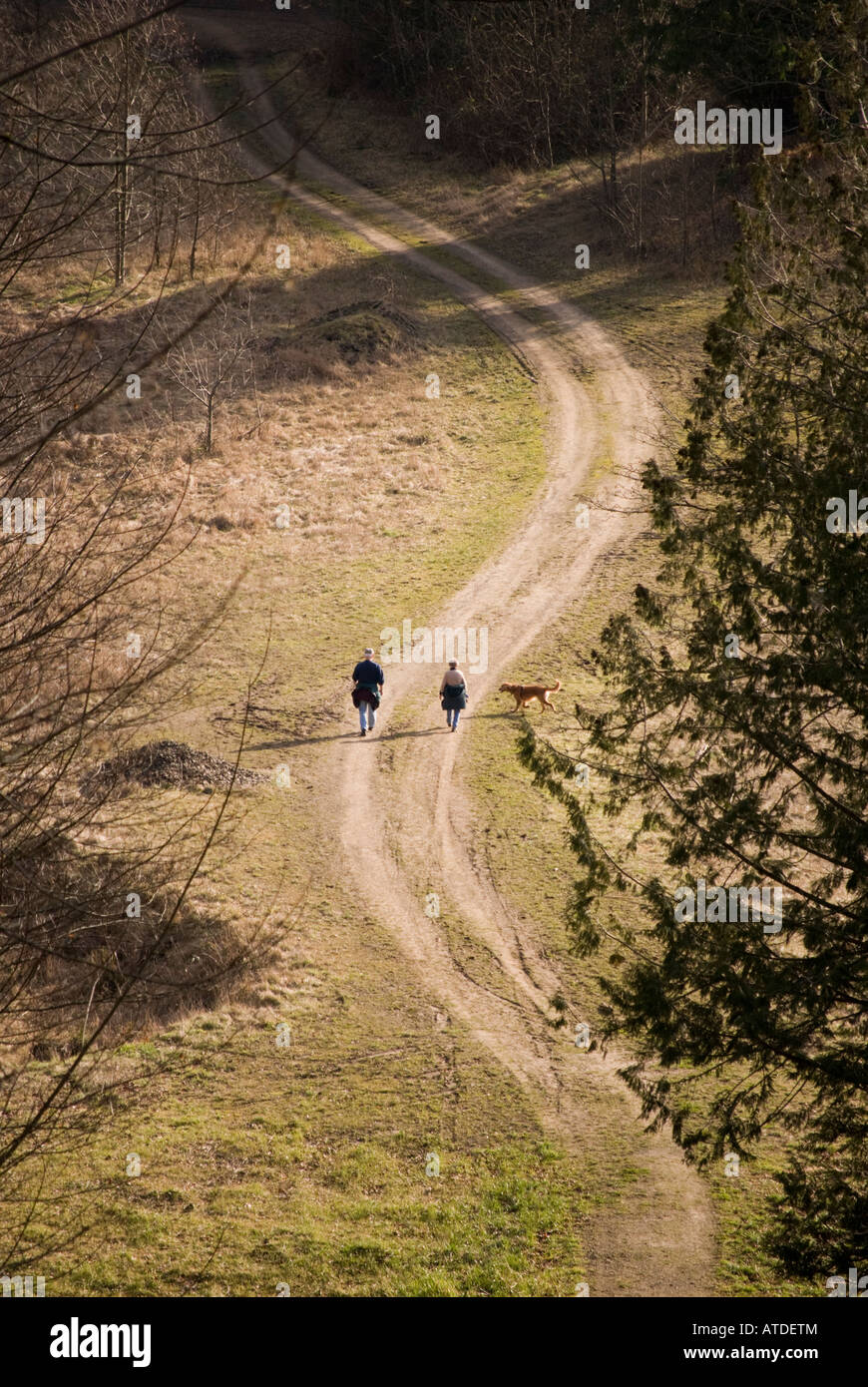 Un paio di passeggiate lungo una strada nel Signore Hill Parco Regionale. Foto Stock