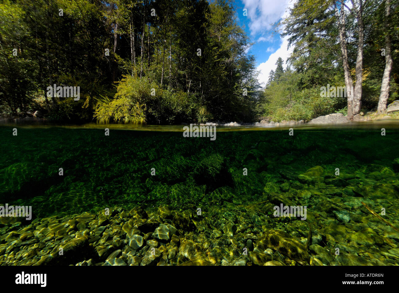 Patrick Creek California Foto Stock