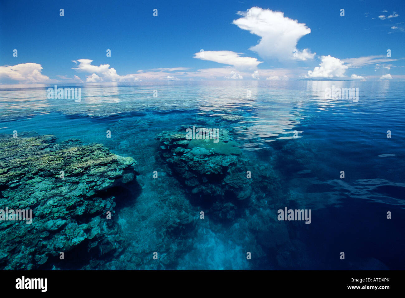 Le barriere coralline sono ambienti fragili che richiedono la calda acqua pulita e chiara di crescere Figi Indo Pacific Foto Stock