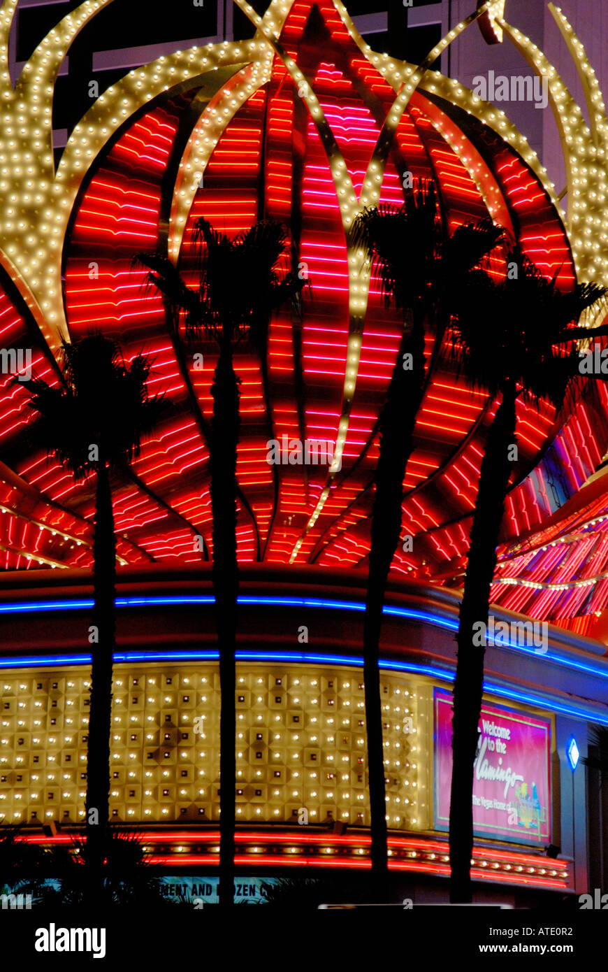 Insegna al neon del Flamingo Hotel and Casino Las Vegas Nevada USA Foto Stock