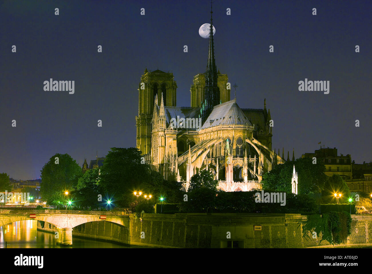 La cattedrale di Notre Dame, Paris, Francia Foto Stock