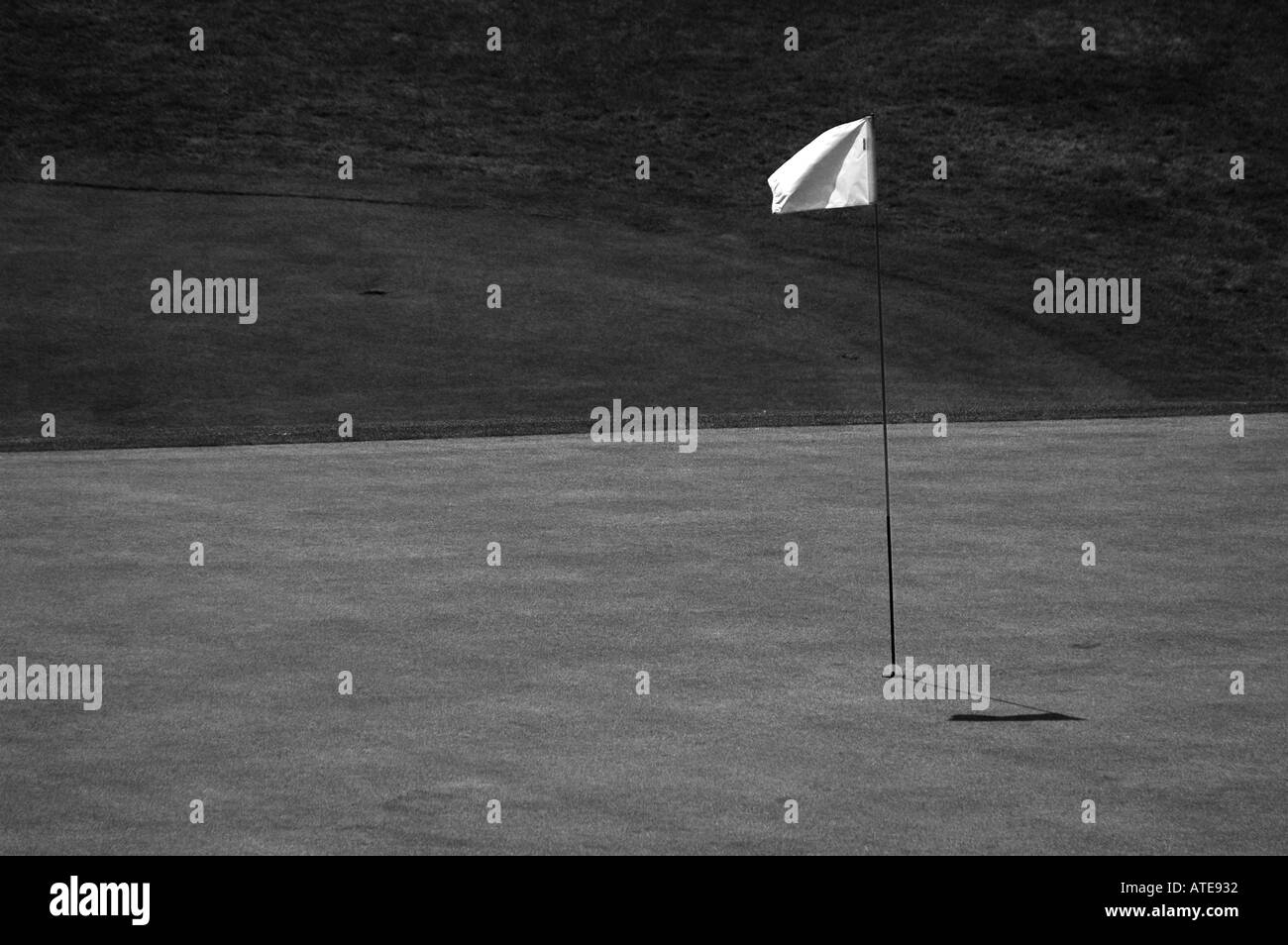 Campo da golf verde con bandiera in bianco e nero Foto Stock
