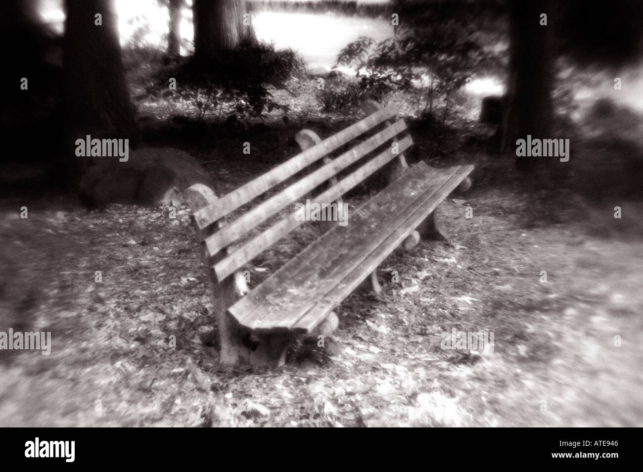Una panchina nel parco solo nella zona boschiva Foto Stock