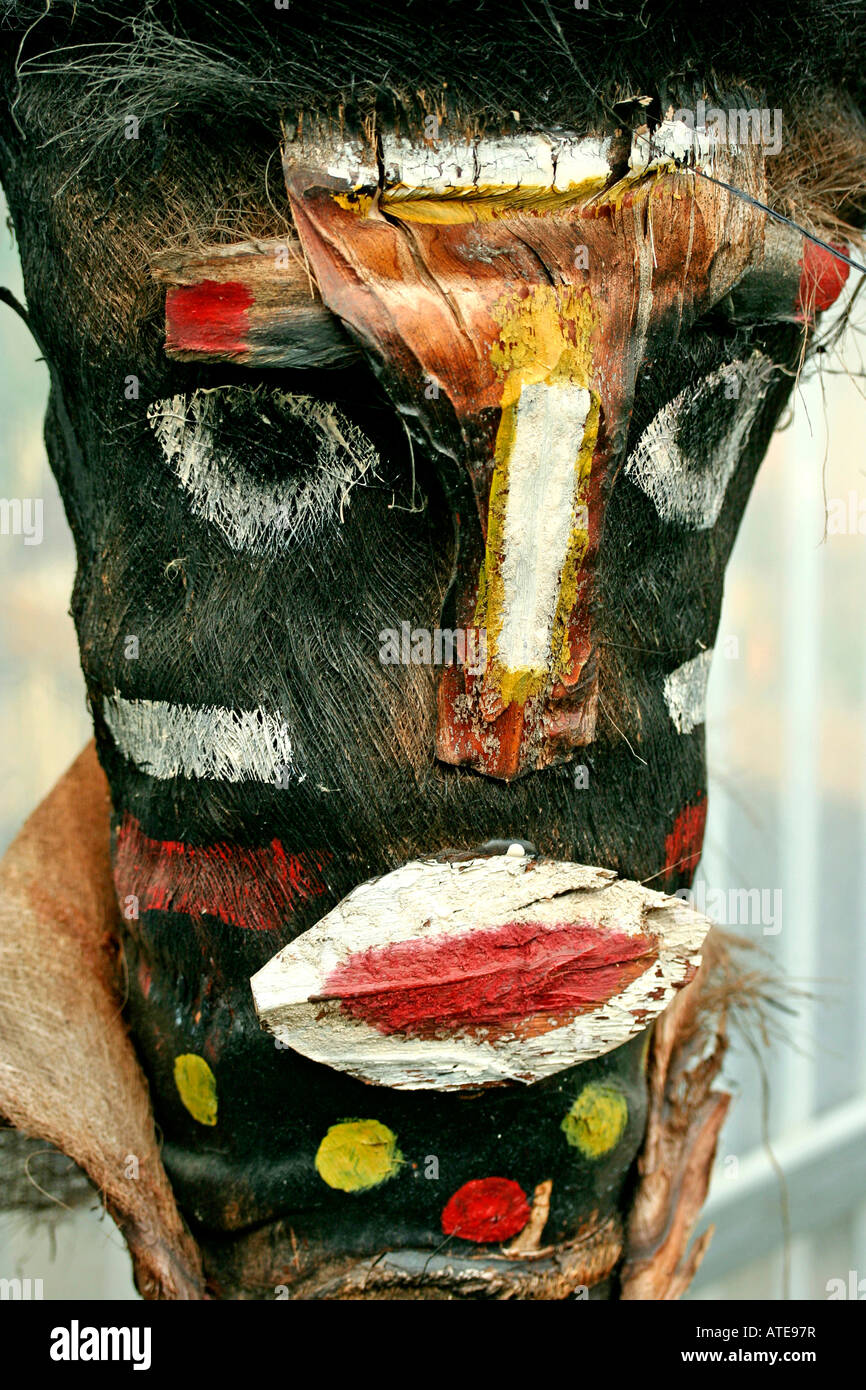 Mascherina africana in un palm Foto Stock