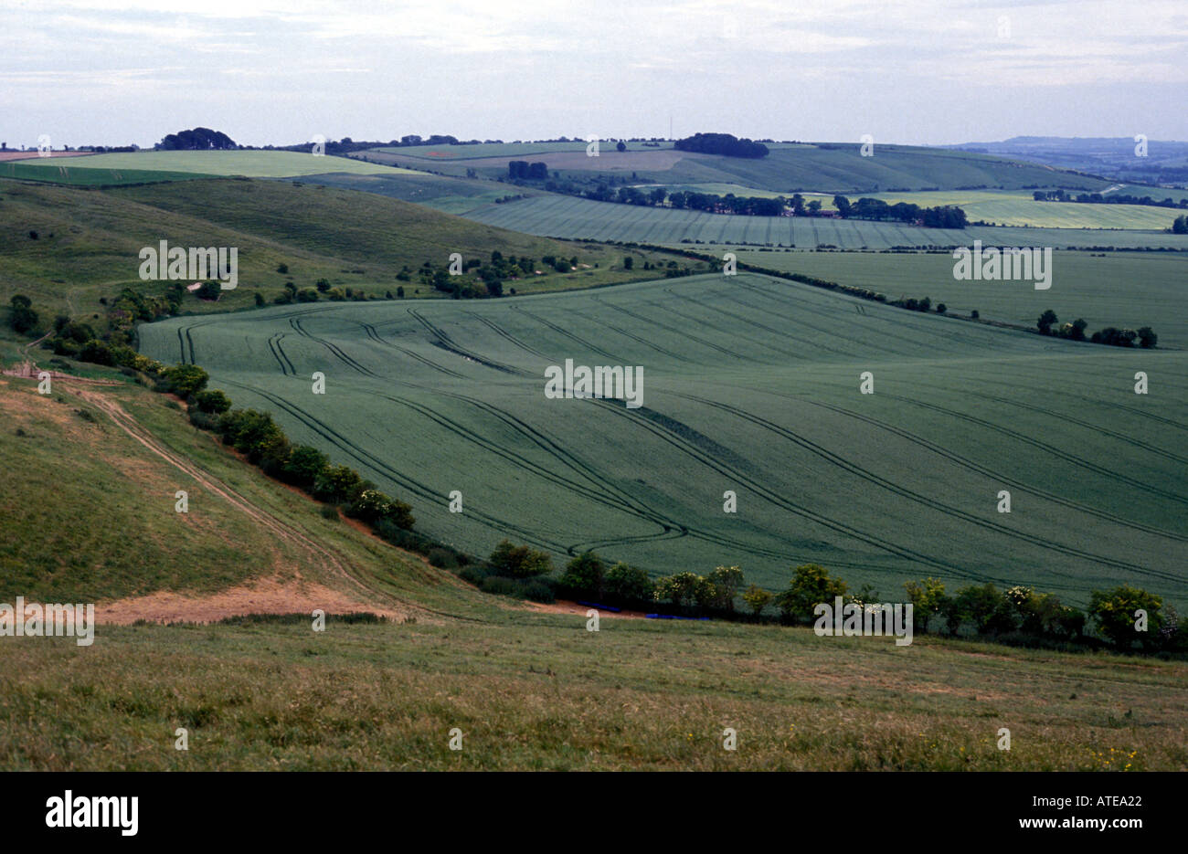 Il Marlborough Downs visto da Liddington collina vicino a Swindon Foto Stock