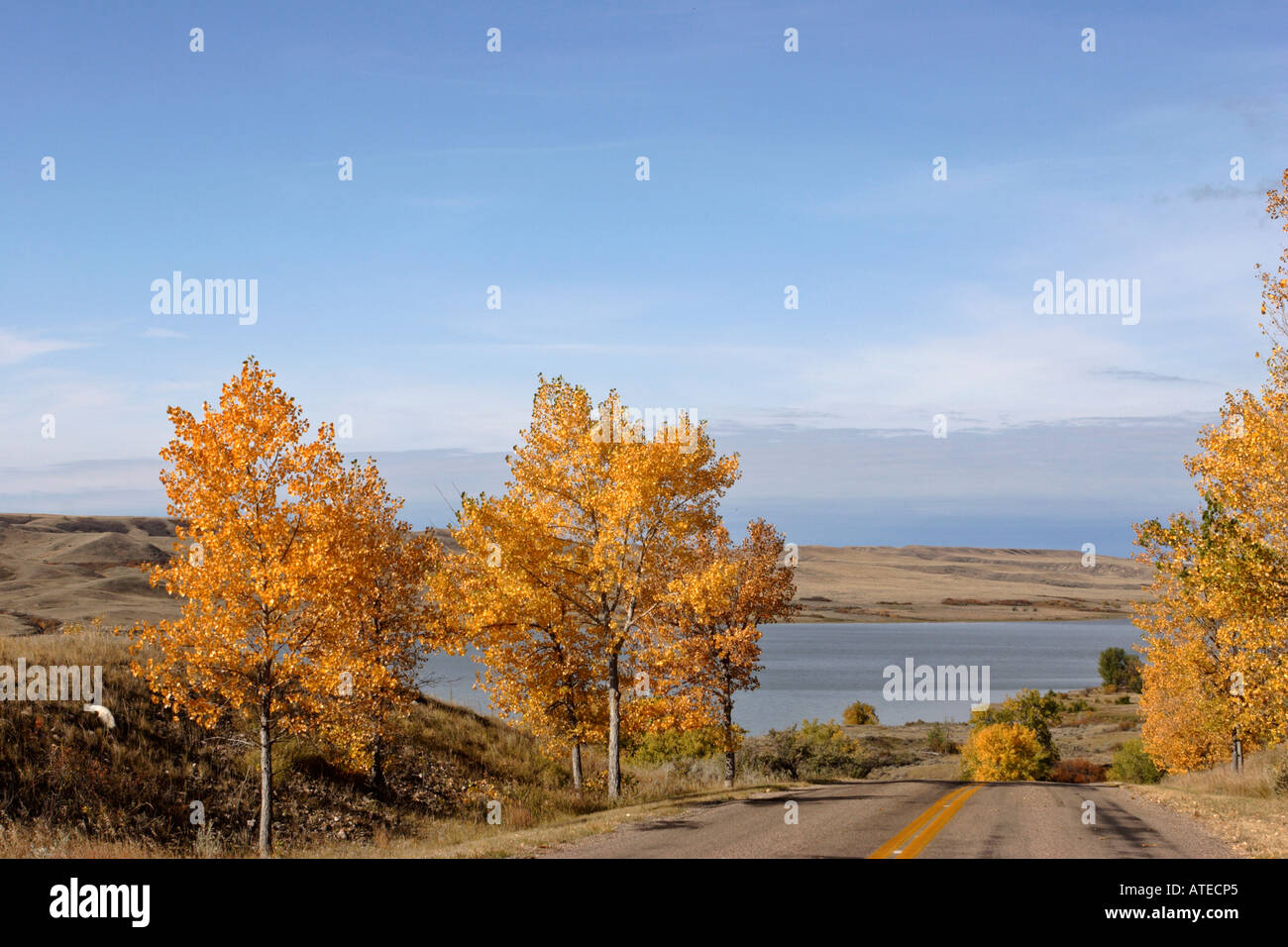 Colori autunnali in Saskatchewan Landing Foto Stock