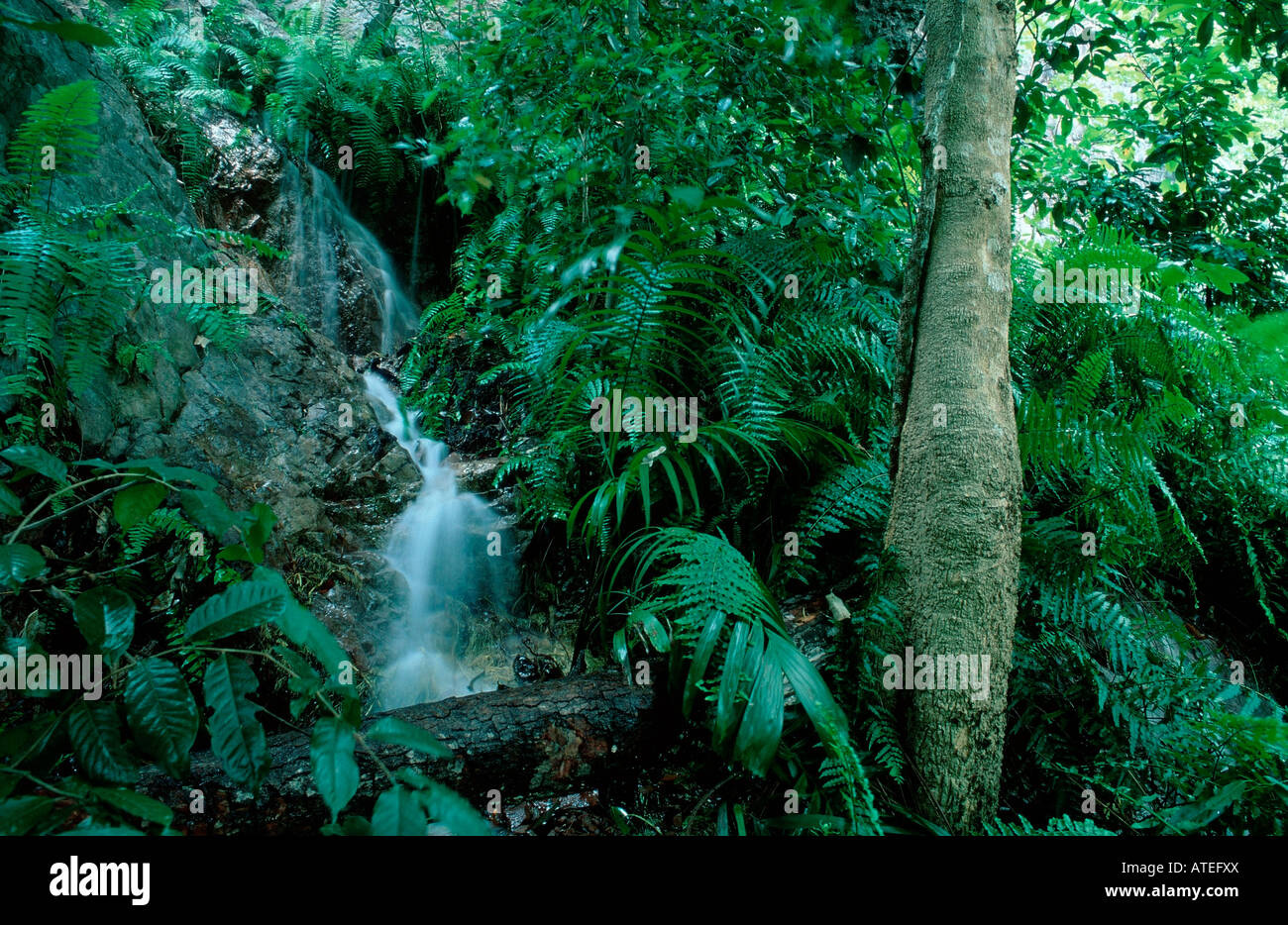 Cascata / Wasserfall Foto Stock