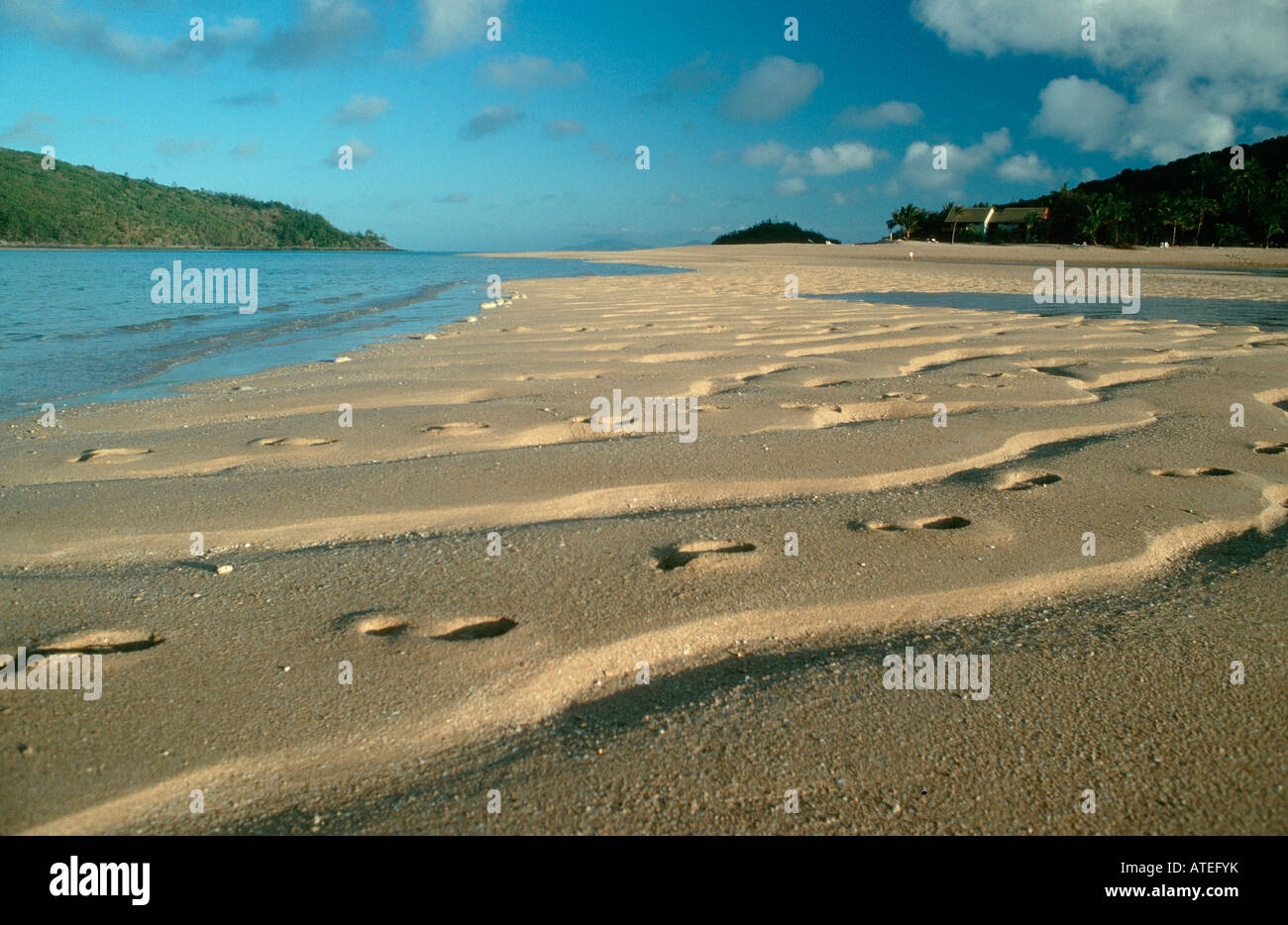 Le tracce sulla spiaggia / Spuren am Strand Foto Stock