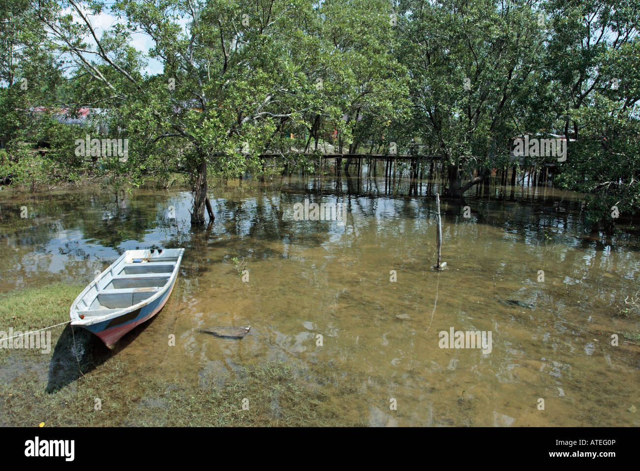 Fibra di vetro la pesca in barca ormeggiata in una palude in Pahang, Malaysia. Foto Stock