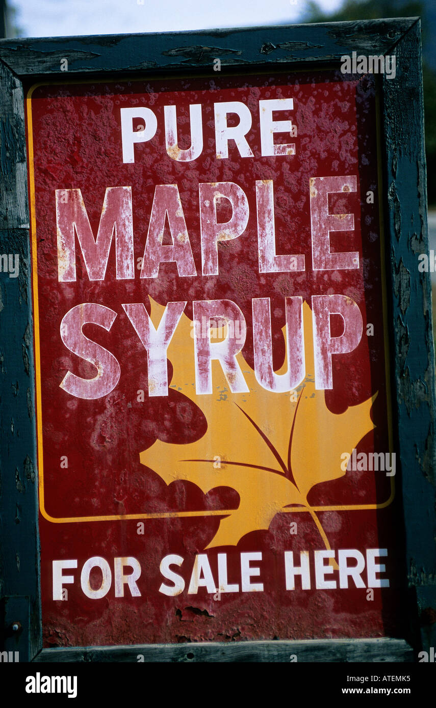 Lo stato del Vermont produce 2 3 milioni di litri di sciroppo d'acero ogni anno più di qualsiasi altro stato nel paese Foto Stock