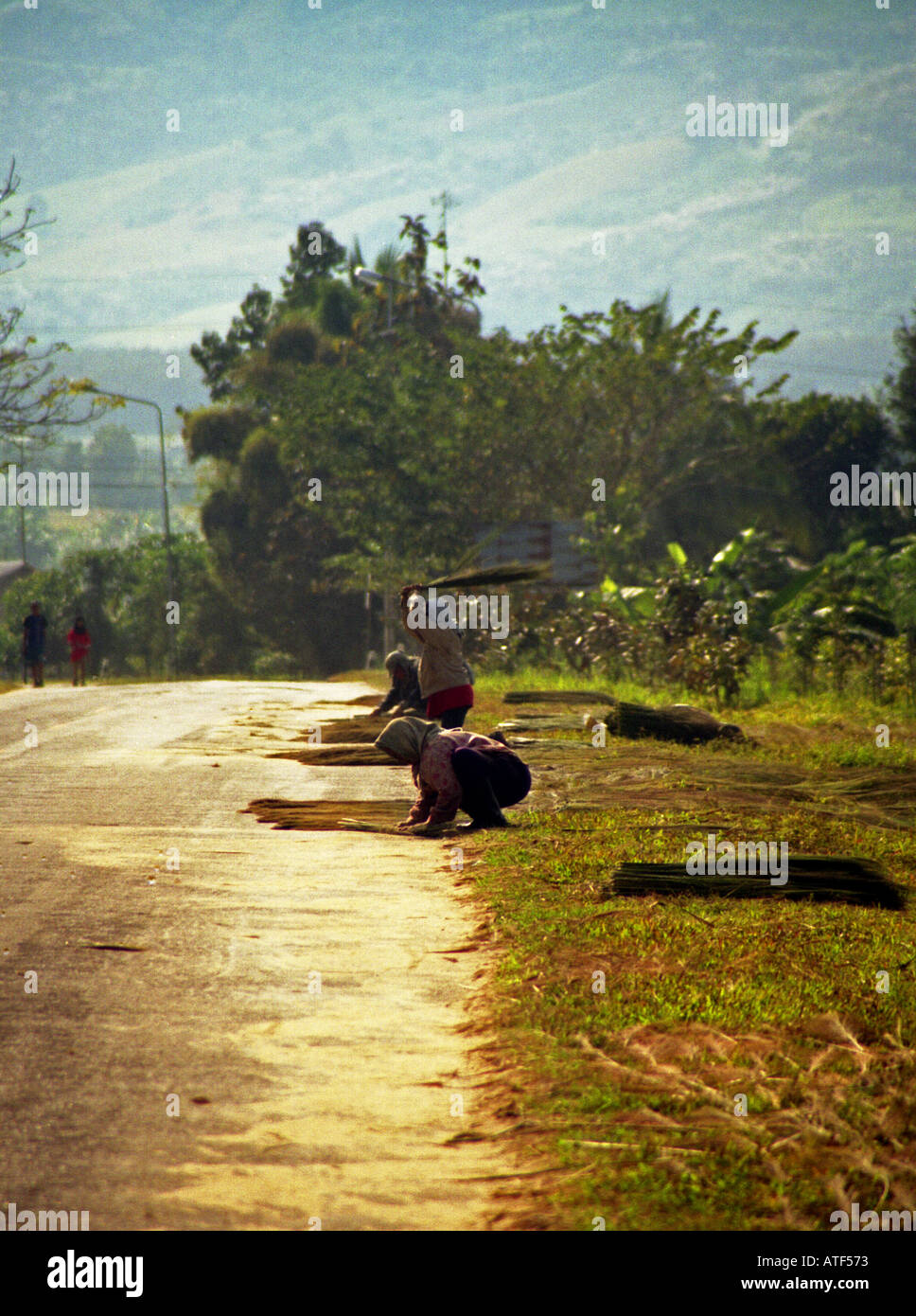 Donna Donne in colorate abbigliamento tradizionale essiccamento al sole & battendo il cotone dal bordo stradale Chiang Saen Thailandia del sud-est asiatico Foto Stock