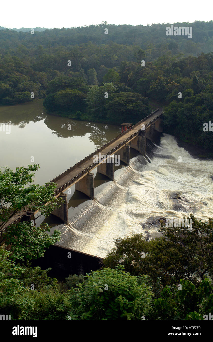 Diga in cardamomo colline kerala Foto Stock