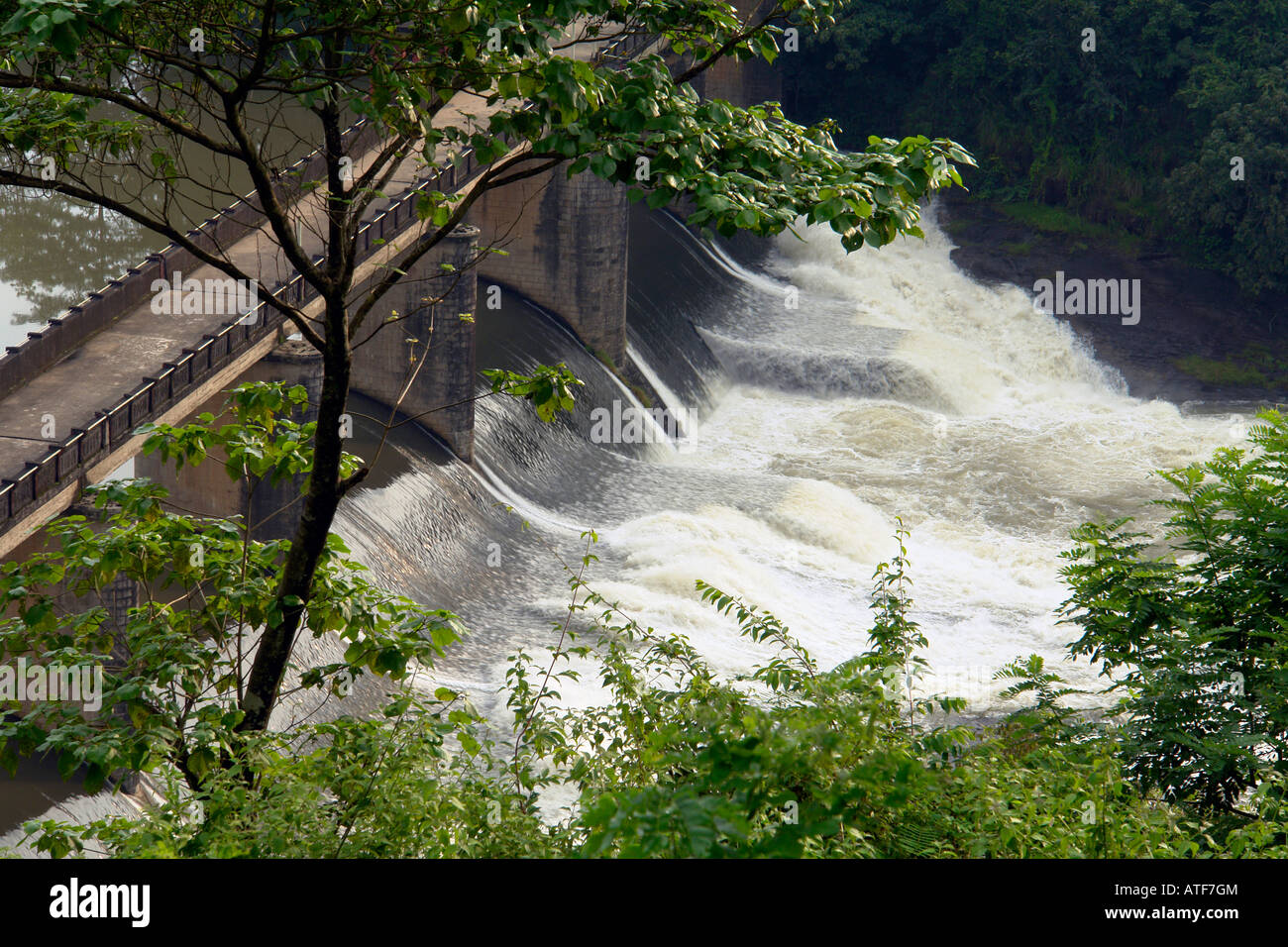 Indian diga in colline di cardamomo Foto Stock