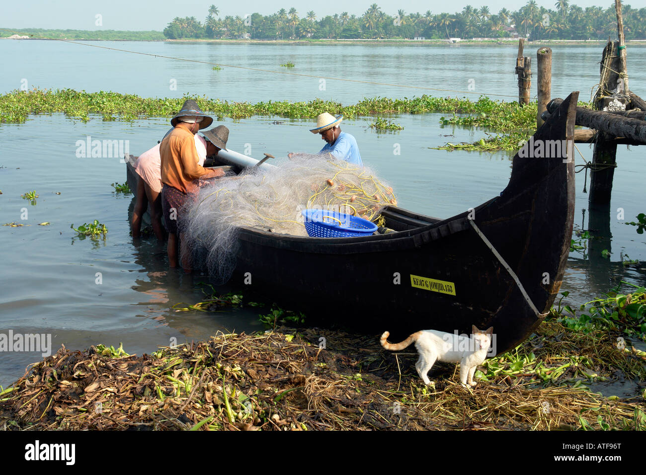 I pescatori locali e la barca di controllare le loro reti dopo una notte di pesca in kochi Foto Stock
